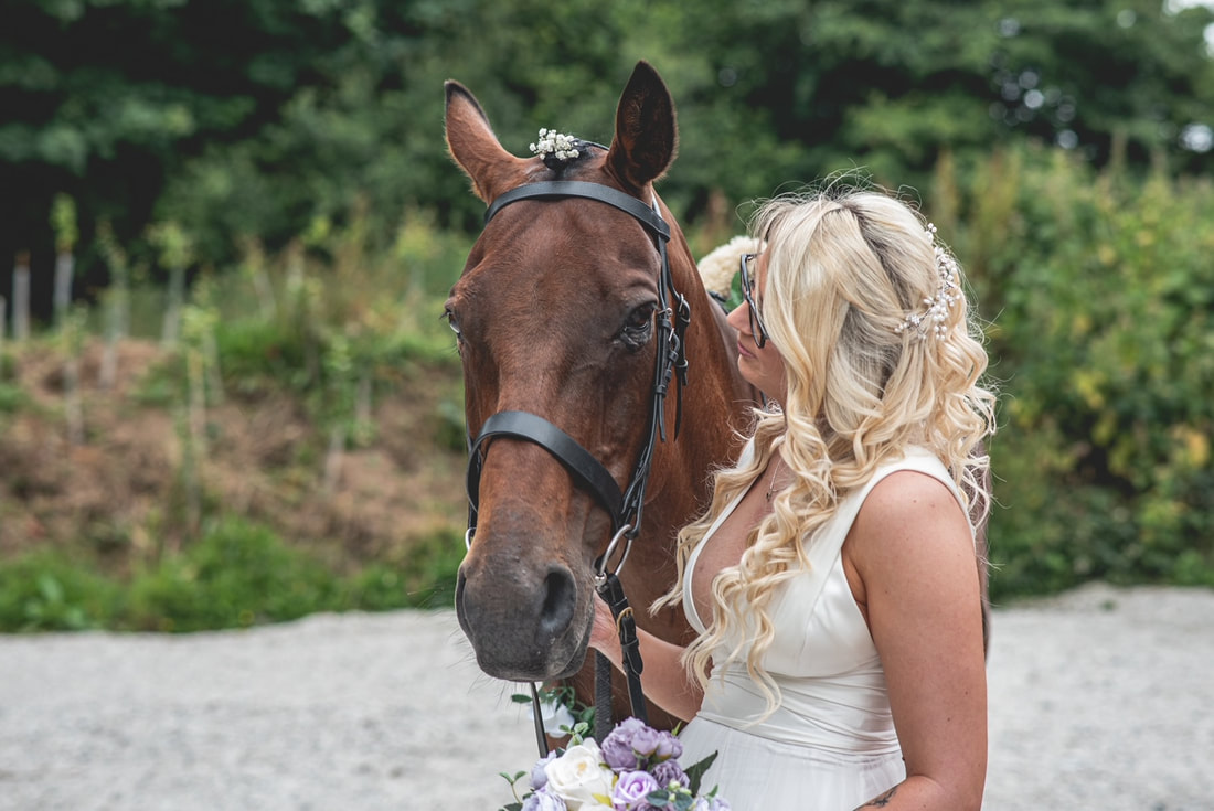 A bride with her horse before arriving at the ceremony outside by the Knightor arbour.