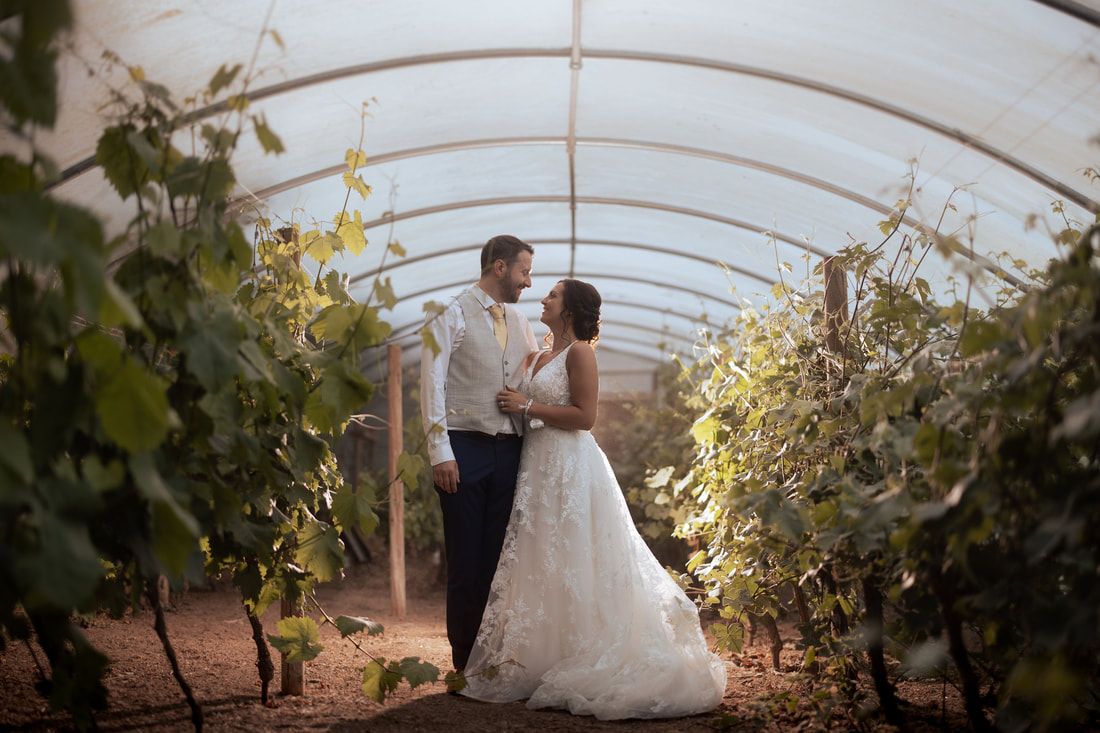 A couple captured amongst the show vines at Knightor Winery following their ceremony.
